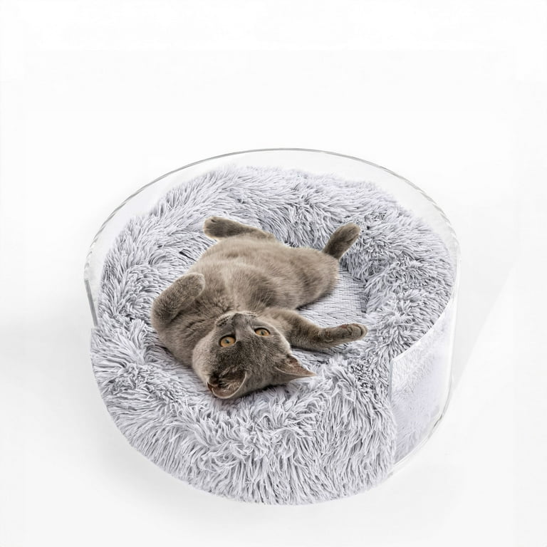 Bette x Small/Medium Modern Lucite Calming Fluffy