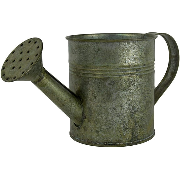 Better Crafts Rustic 8.25" Antique Gray Decorative Metal Planter Watering Can, Crafting Features