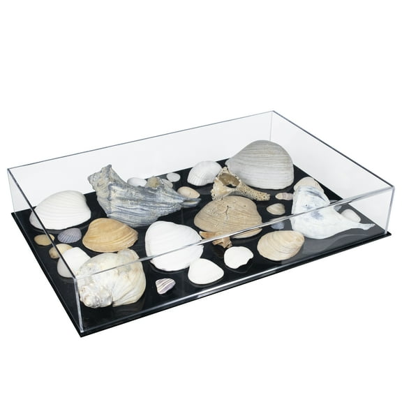 Better Display Cases Versatile Clear Acrylic Display Case - Medium Rectangle Box with Black Base 18" x 12" x 3" (BK09/A029B-BDS)