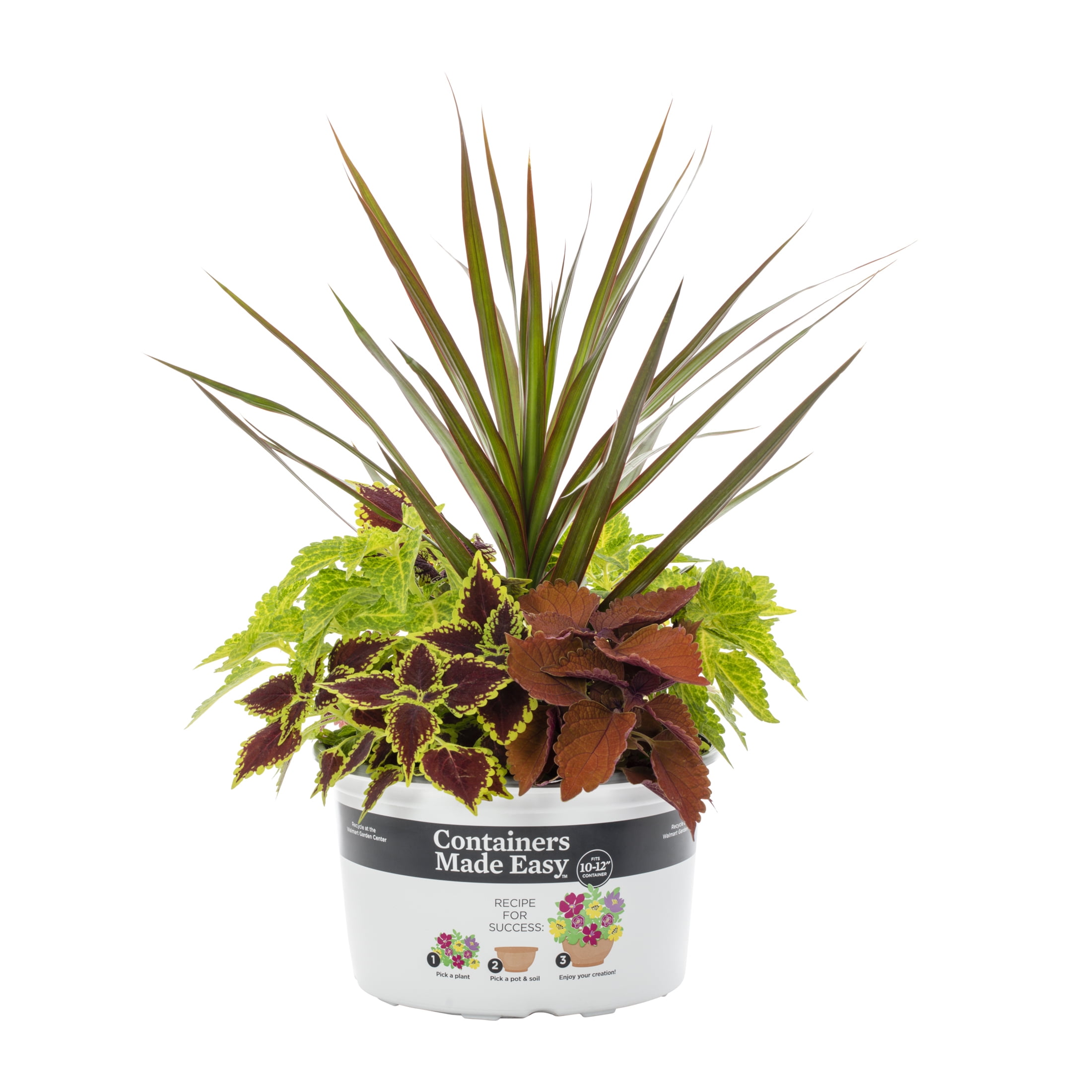 Better Homes & Gardens 1.5gal Orange Yellow Coleus Live Annual Plant Sun