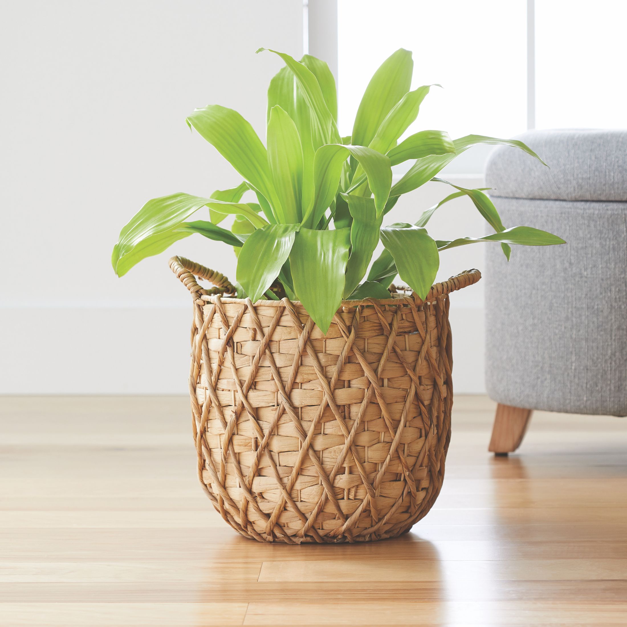 Better Homes & Gardens 11" Round Natural Water Hyacinth Basket Planter - image 1 of 5