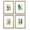 Size: 11x14 Matted to 5x7, Actual Color: Natural Wood, and Multipack Quantity: 4