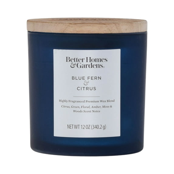 Better Homes & Gardens 12oz Blue Fern & Citrus Scented 2-Wick Frosted Jar Candle