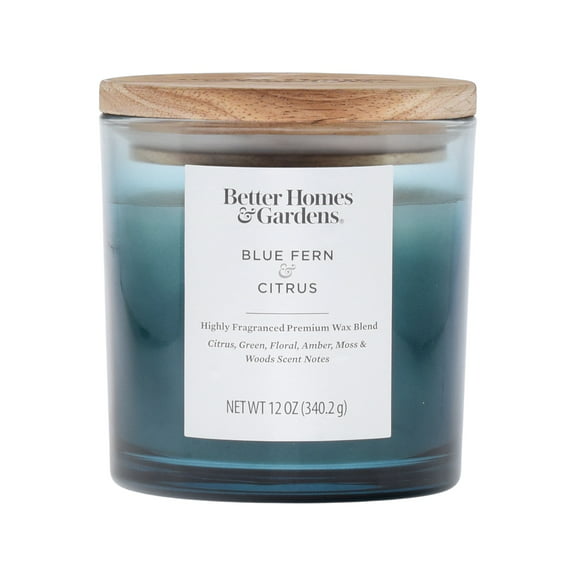 Better Homes & Gardens 12oz Blue Fern & Citrus Scented 2-Wick Ombre Jar Candle