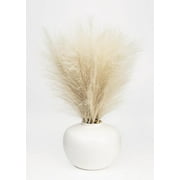 Better Homes & Gardens 14" Artificial Pampas Grass in White Ceramic Vase