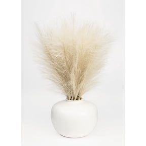 Better Homes & Gardens 14" Artificial Pampas Grass in White Ceramic Vase