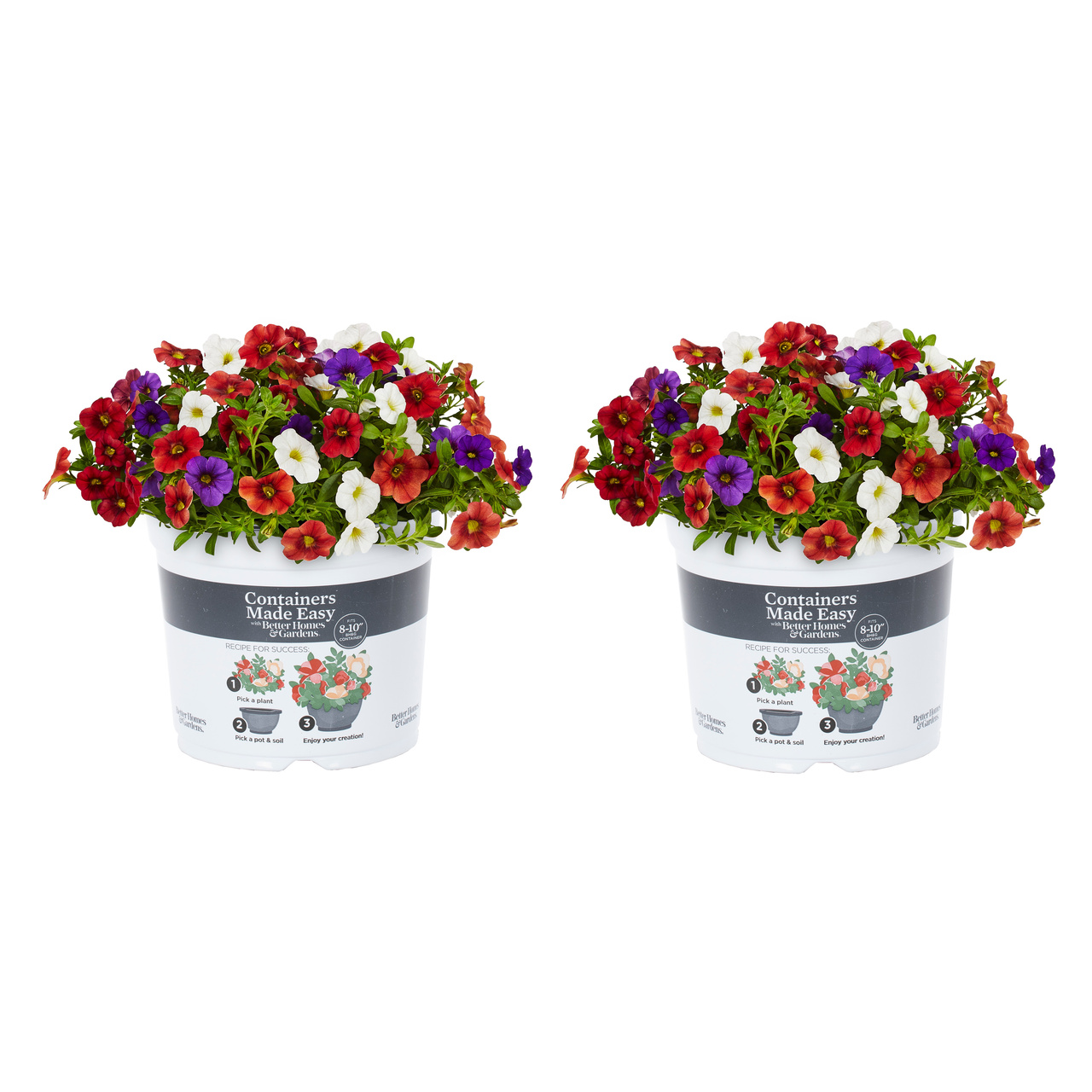 Better Homes & Gardens 16" Hawaiian Country Mix Live Plants in Pot (2 Count)