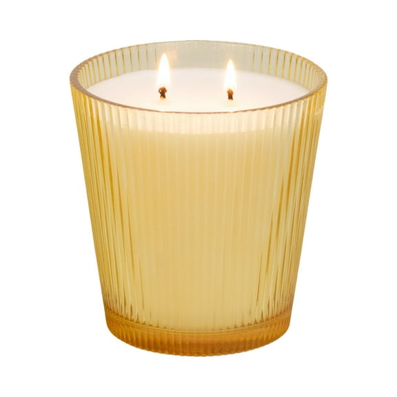 Better Homes & Gardens Fine Fragrance Collection, Sunshine Daisy Scented 2-Wick Jar Candle 16 oz.