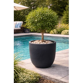 Magic garden Mosswood Resin Planter Matte Black Finish 18 Inch
