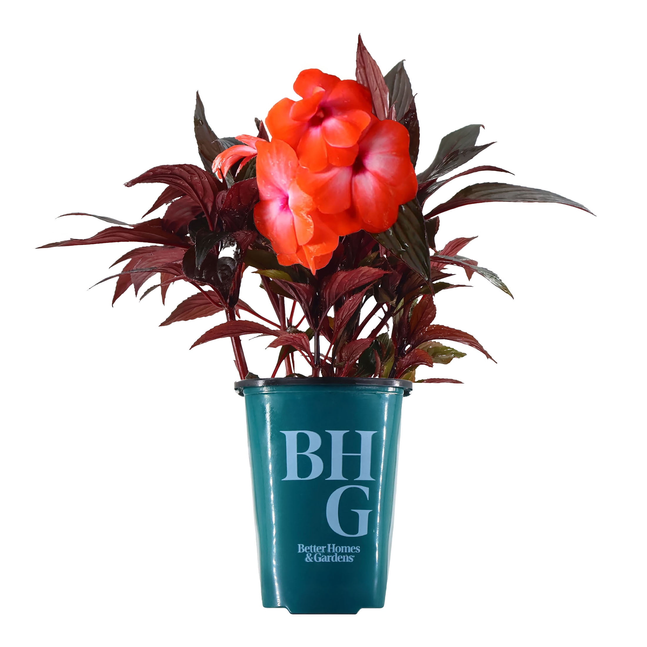 Better Homes & Gardens 1.5pt Red New ...