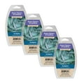 thumbnail image 1 of Better Homes & Gardens 2.5 oz Eucalyptus Scented Wax Melts, 4-Pack, 1 of 4