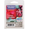 thumbnail image 1 of Better Homes & Gardens 2.5 oz Red Currant Poinsettia Scented Wax Melts, 1 of 4