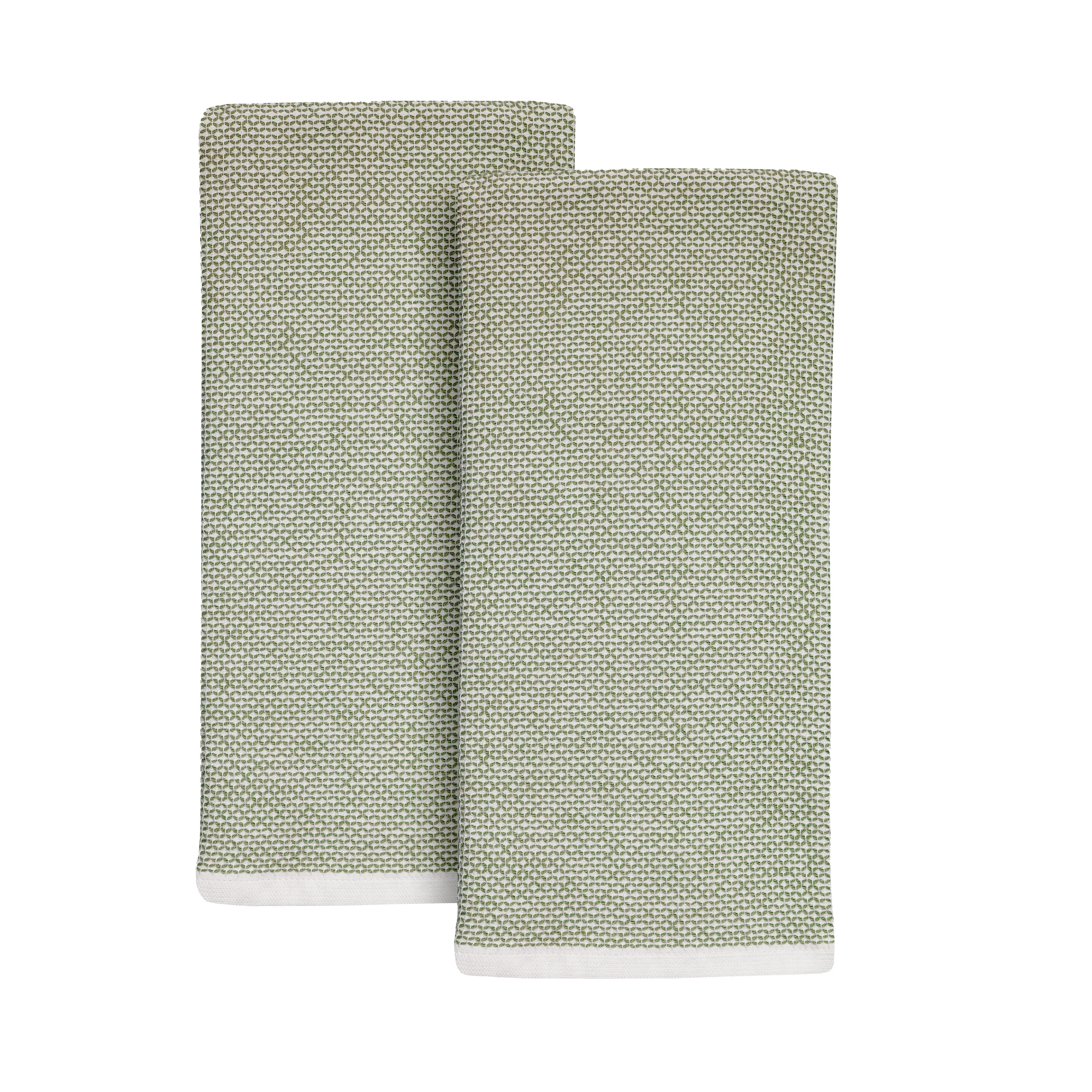 Cilantro Green