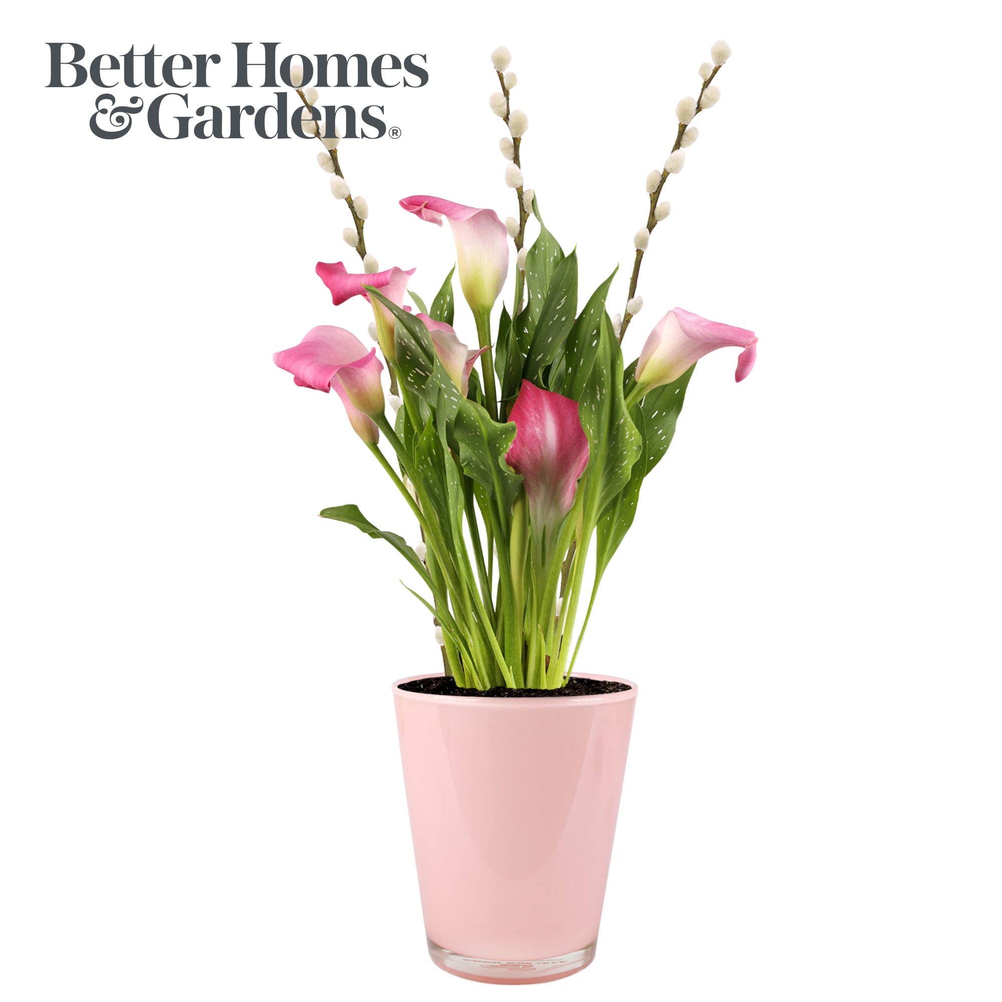 Better Homes & Gardens 22" Tall Valentine’s Day Pink Calla Lily in 5