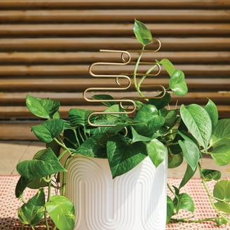 planter pots sale Square Ceramic Plant Pots for Sale