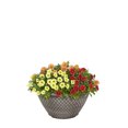 thumbnail image 1 of Expert Gardener 3QT Multicolor Calibrachoa Live Annual Plant Decorative Pot Sun, 1 of 6