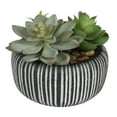 thumbnail interactive-video image 1 of Better Homes & Gardens 4.72" H Artificial Succulent Plant in Stone Pot, Multi-Color, 1 of 6