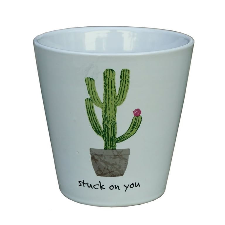 Ceramic Green Cactus Planter Ceramic Green Cactus Planter