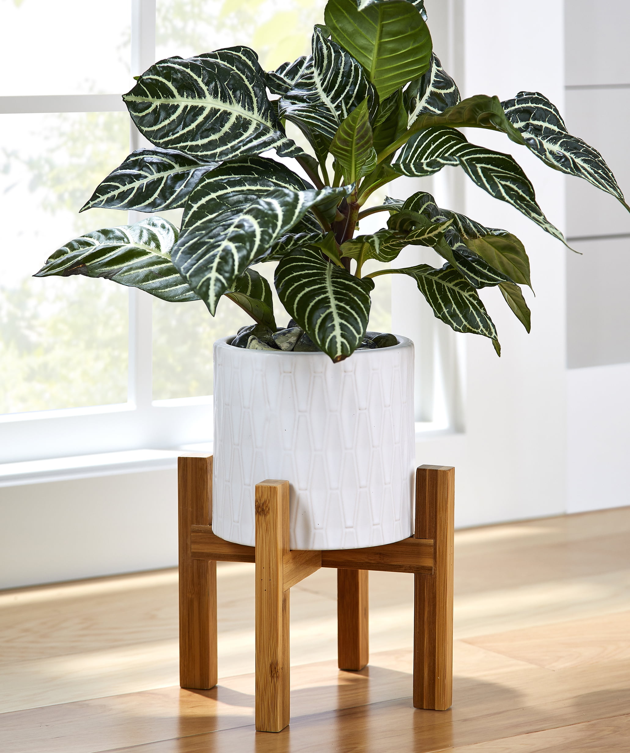 Better Homes & Gardens 6in Kennewick Ceramic Planter With Stand