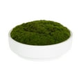 thumbnail image 1 of Better Homes & Gardens 8" Faux Moss in Ceramic Bowl, 1 of 14
