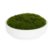 Better Homes & Gardens 8" Faux Moss in Ceramic Bowl