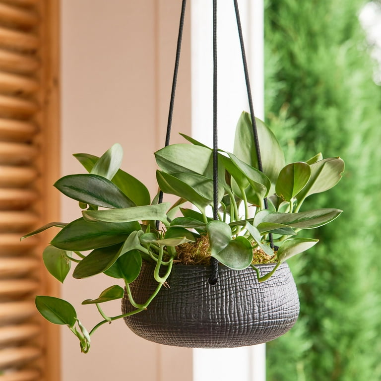 Better Homes & Gardens 8in Black Ceramic Tiffany Hanging Planter