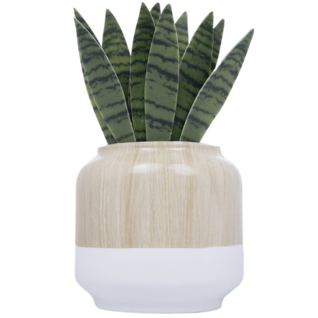 Better Homes & Gardens Aroma Accents Fragrance Plug, Snake Plant