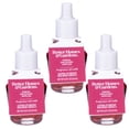 thumbnail image 1 of Better Homes & Gardens Aroma Accents Oil Refill 24 mL (3-Pack), Fresh Orchard Apples, 1 of 6