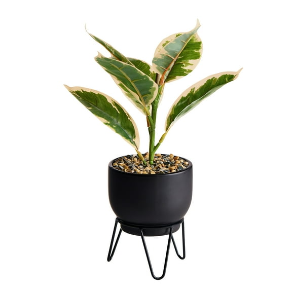 Better Homes & Gardens Artificial Ficus Plant in Black Ceramic Pot with Stand, 13"
