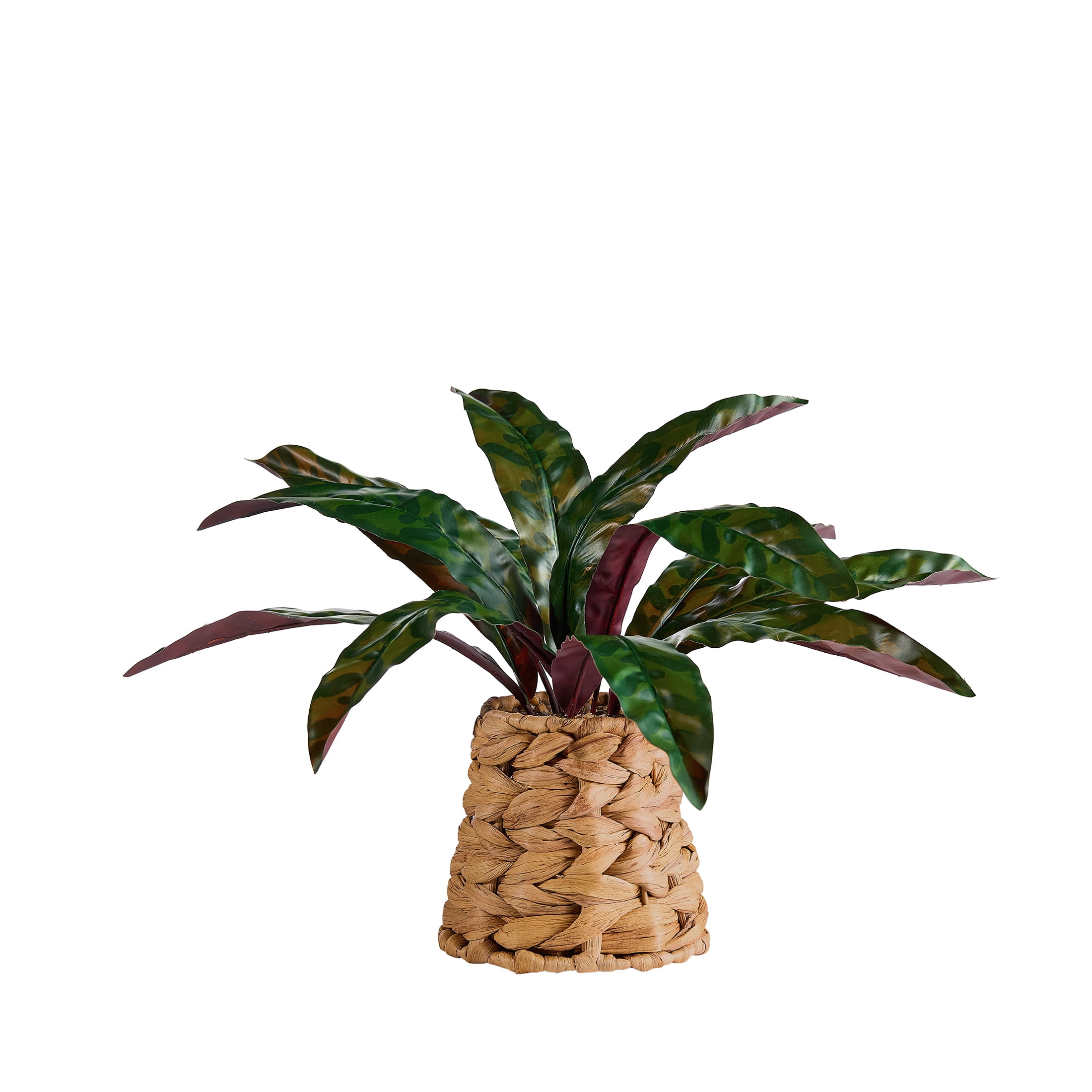 Better Homes & Gardens Artificial Rattlesnake Plant in Rattan Vase, 13"