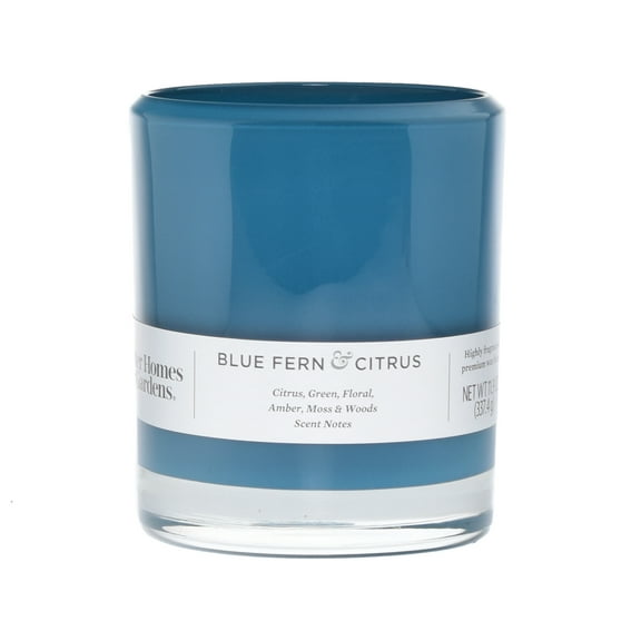 Better Homes & Gardens Blue Fern & Citrus 12oz Scented 2-wick Candle