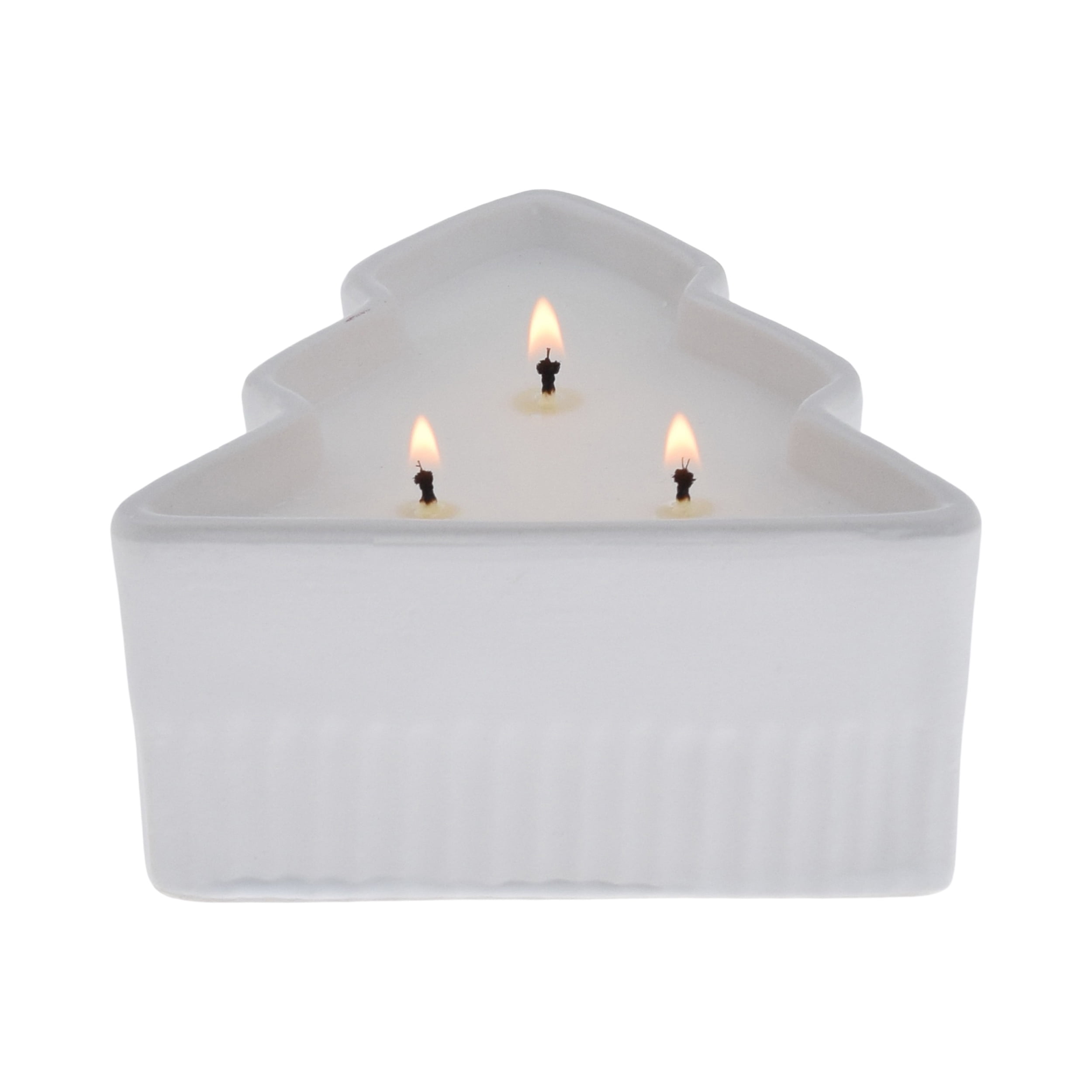 Better Homes & Gardens Cashmere Teak Scented 3 Wick Ceramic Tree Dish Candle 10oz