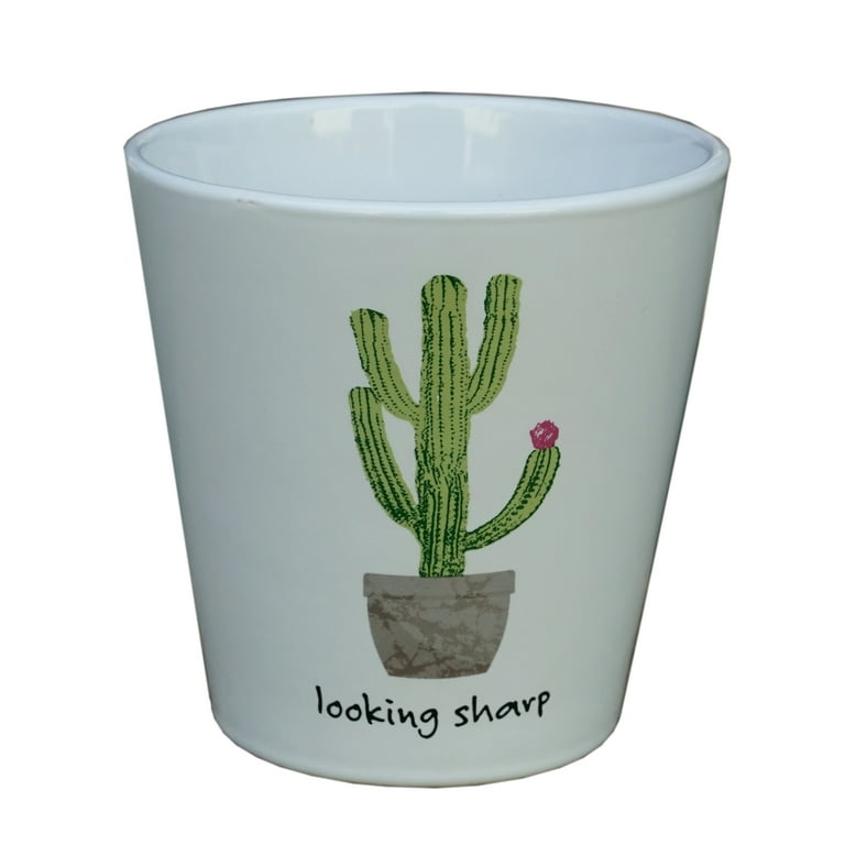 Ceramic Green Cactus Planter Ceramic Green Cactus Planter