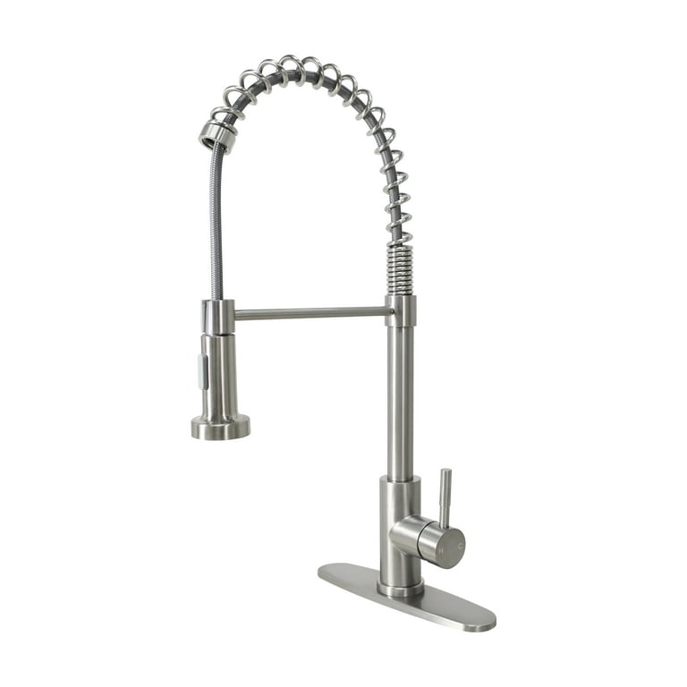 Sprayer for 2024 kitchen faucet