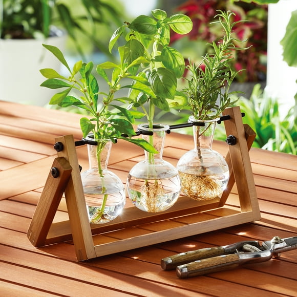 Better Homes & Gardens Glass and Wood Propagation Station Set, 11.3 in L x 4.3 in W x 5.5 in H