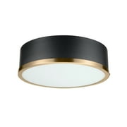 Better Homes & Gardens Irving Park 2-Light Flush Mount, Matte Black Finish, Burnished Brass Accents, Frosted Glass Shade, LED Bulbs Included