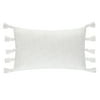 Better Homes & Gardens Oblong Decorative Throw Pillow for Adults, 14 in x 24 in
