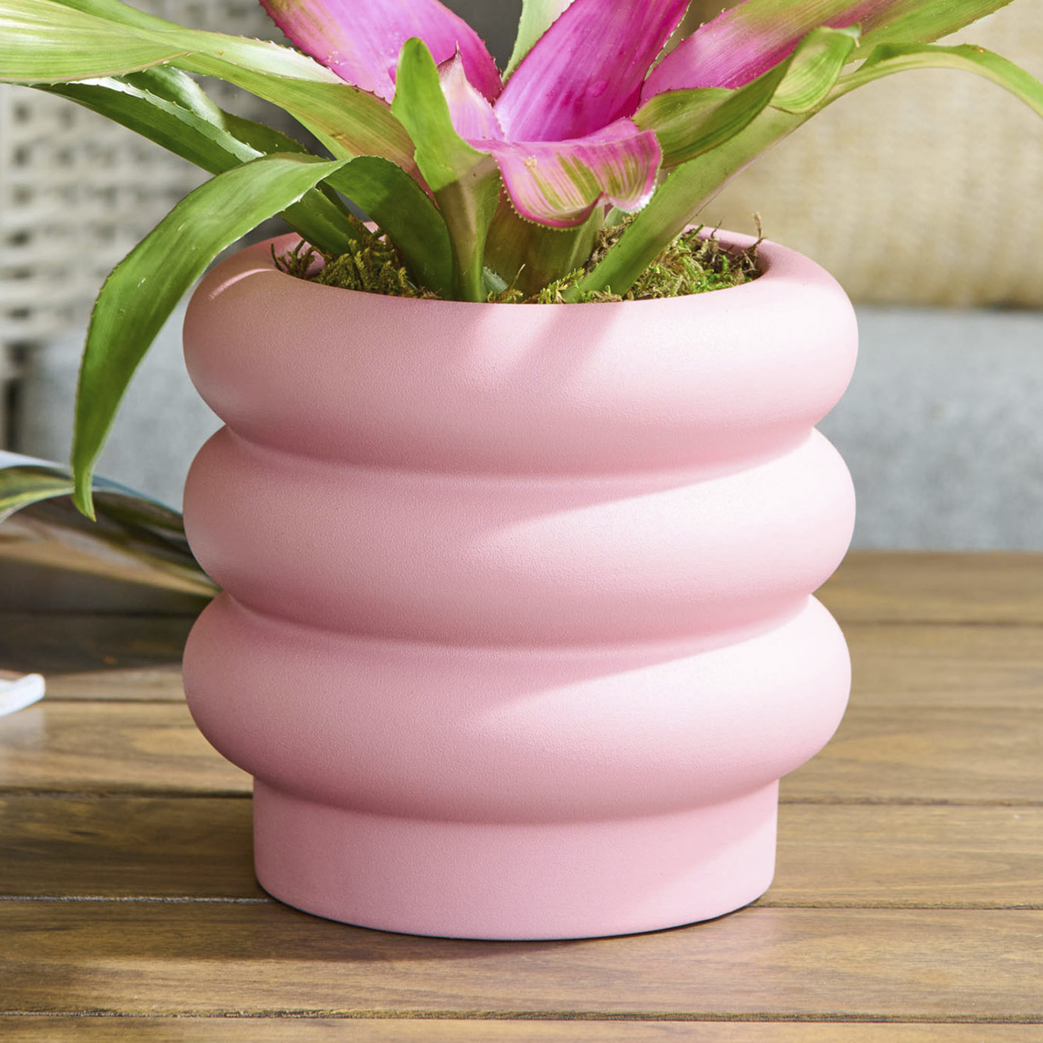 Better Homes & Gardens Pottery 6" Chinooke Ceramic Bubble Planter, Pink - image 1 of 9