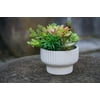 Size: 8", Actual Color: White, and Multipack Quantity: 1