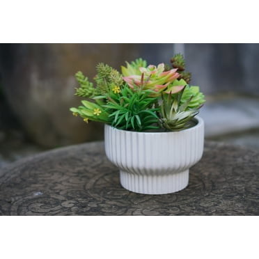 Better Homes & Gardens Pottery 8" Fischer Ceramic Planter, White