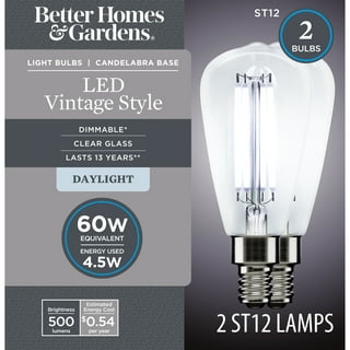 GE 8.5W 2pk LED T10 Daylight Clear Medium Decorative Light Bulbs