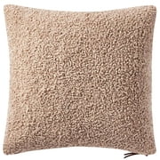 Better Homes & Gardens Teddy Pillow with Chunky Zipper, 20 x 20, Oatmeal, Square, 1 Piece