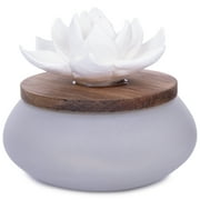 Better Homes & Gardens Wicking Ceramic Diffuser, Frosted Succulent