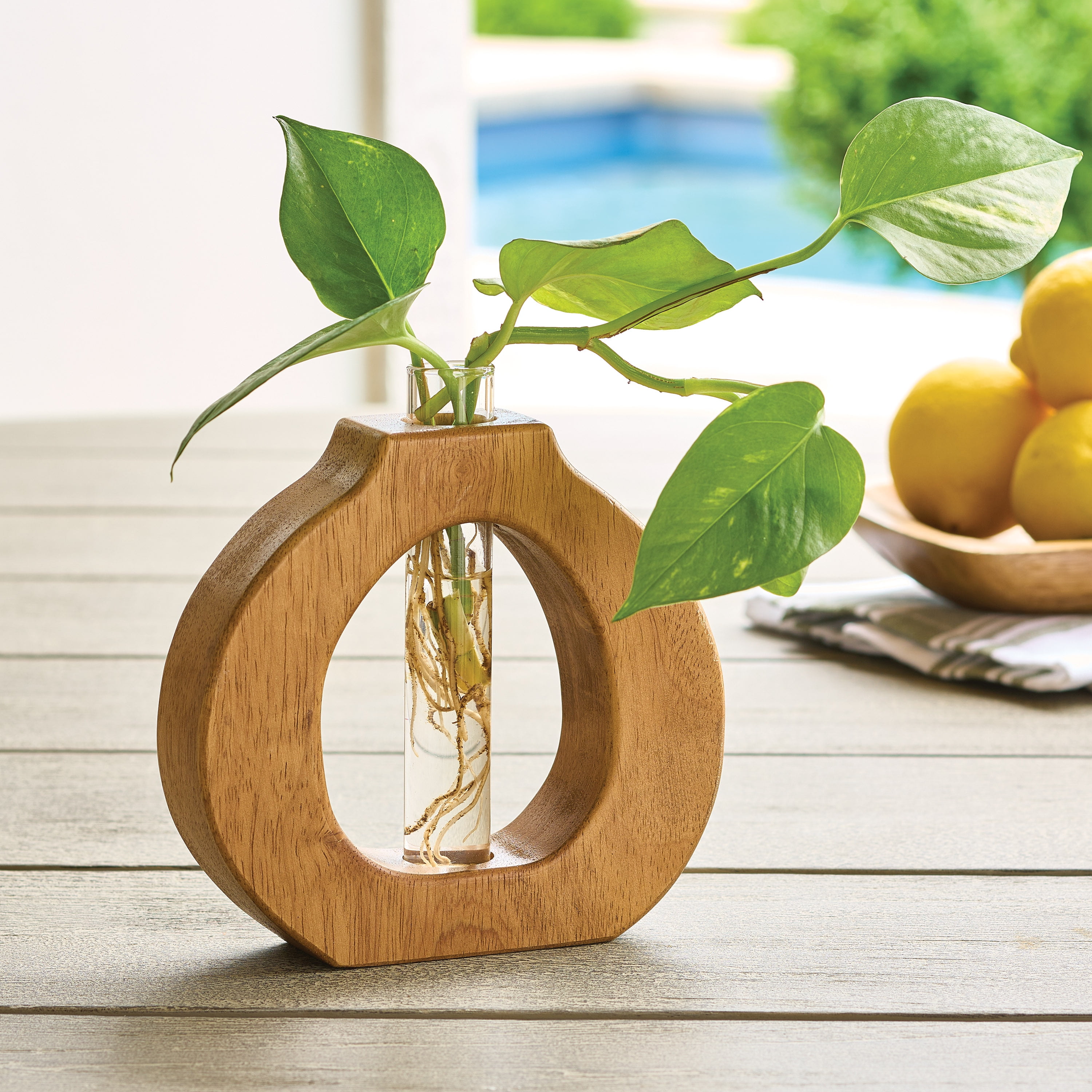 Better Homes & Gardens Wood and Glass Round Propagation Station