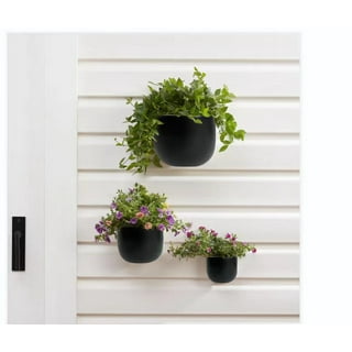 Two plant pot ring mounted on the wall.