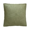 thumbnail interactive-video image 1 of Better Homes & Gardens 22" x 22" Dark Cilantro Sunny Decorative Pillow for Adults, 1 of 6