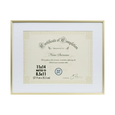 Better Homes and Gardens Thin Gold Document Frame