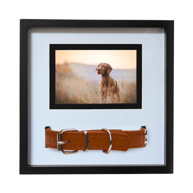 Better World Pets Memorial Keepsake Frame 11" x 11", Holds 4x6 or 5x7