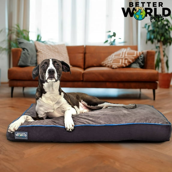 Better World Pets Orthopedic Dog Bed, Waterproof, Premium Memory Foam Washable Dog Bed, Medium