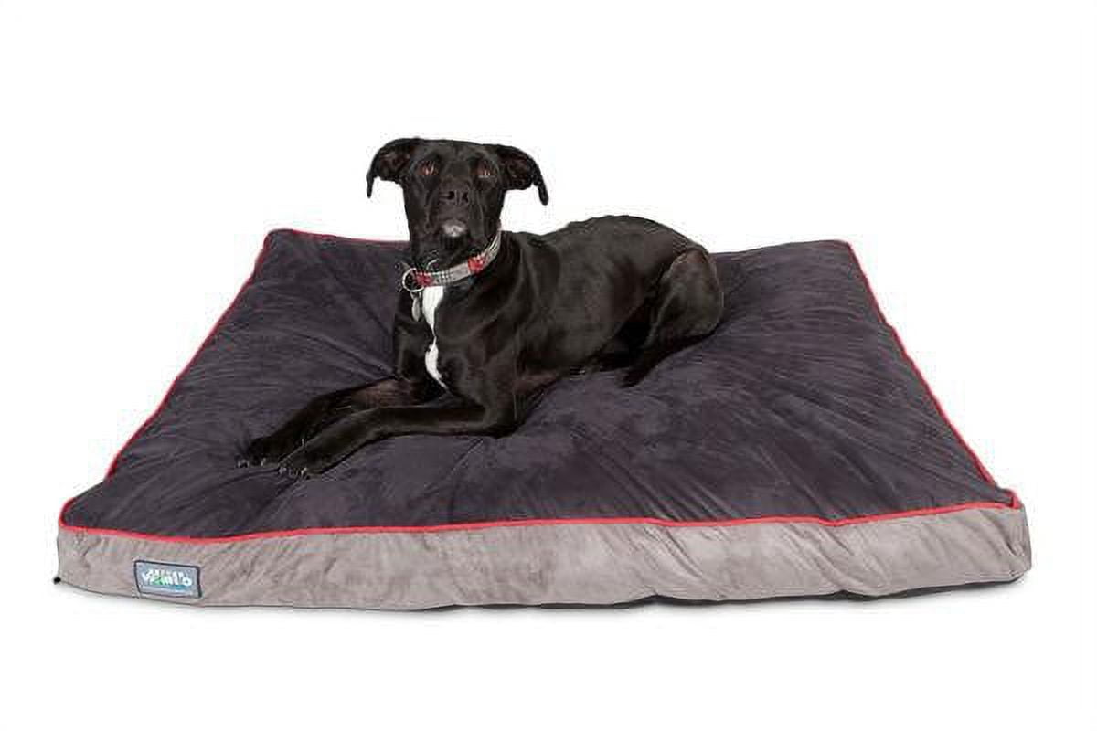 Pet world dog beds 2025